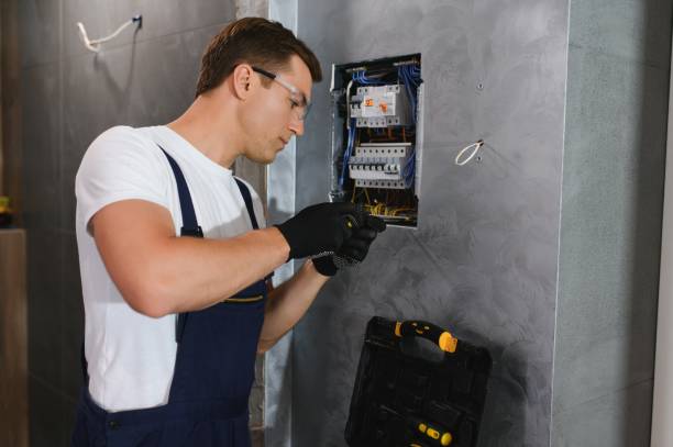 Best Electric Panel Repair  in Reidsville, GA